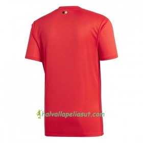 Jalkapallo Pelipaidat Belgia World Cup 2018 Kotipaita